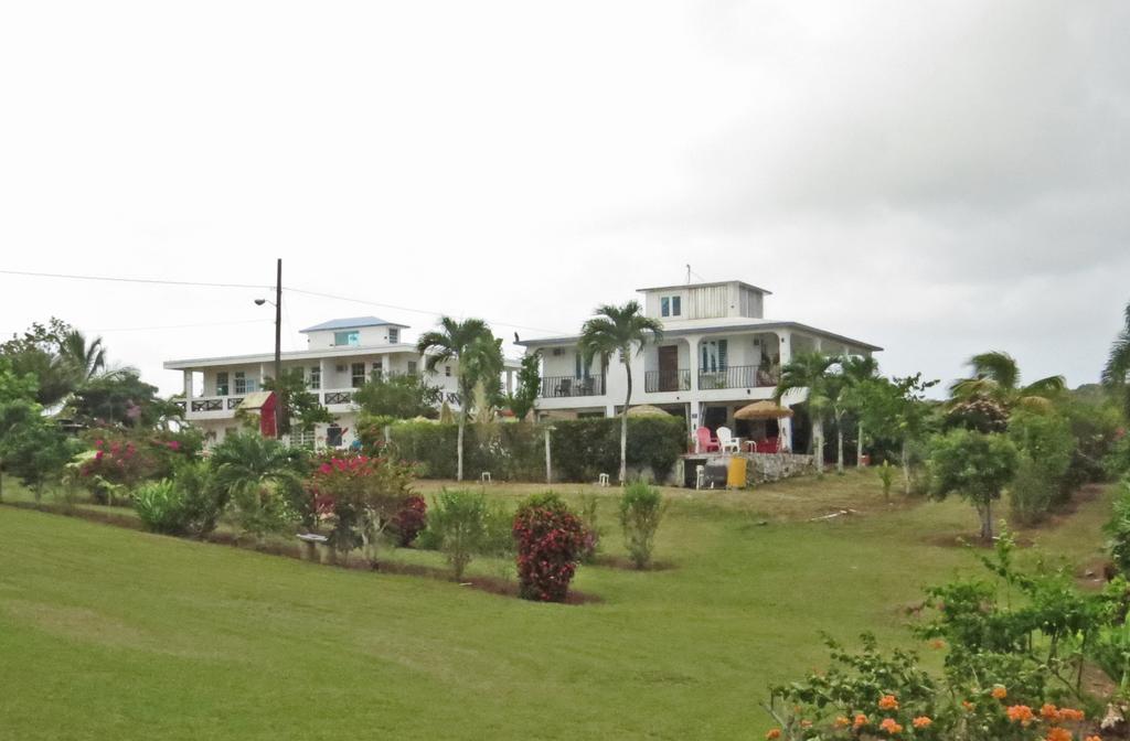 Great Escape And Breakfast Inn Vieques Buitenkant foto