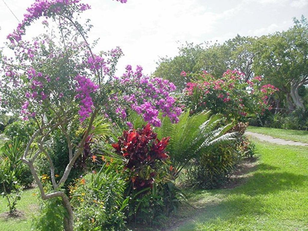 Great Escape And Breakfast Inn Vieques Buitenkant foto
